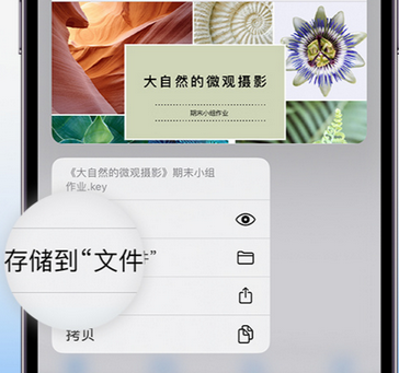 无为apple维修中心分享iPhone文件应用中存储和找到下载文件