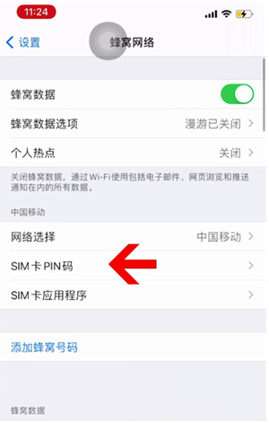 无为苹果14维修网分享如何给iPhone14的SIM卡设置密码 