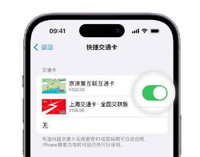 无为apple维修点分享iPhone上更换Apple Pay快捷交通卡手绘卡面 