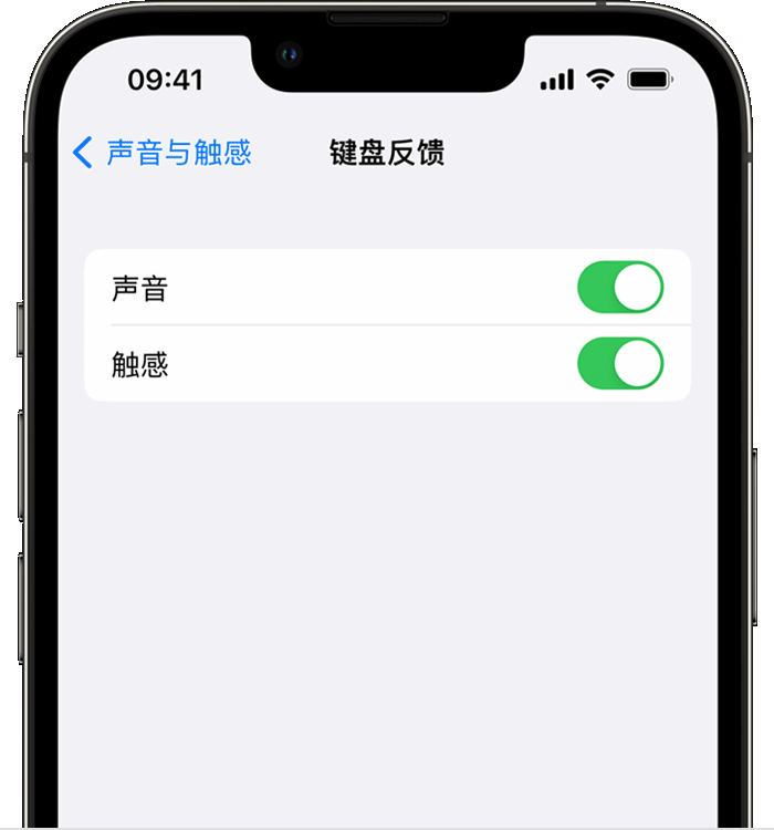 无为苹果14维修店分享如何在 iPhone 14 机型中使用触感键盘 