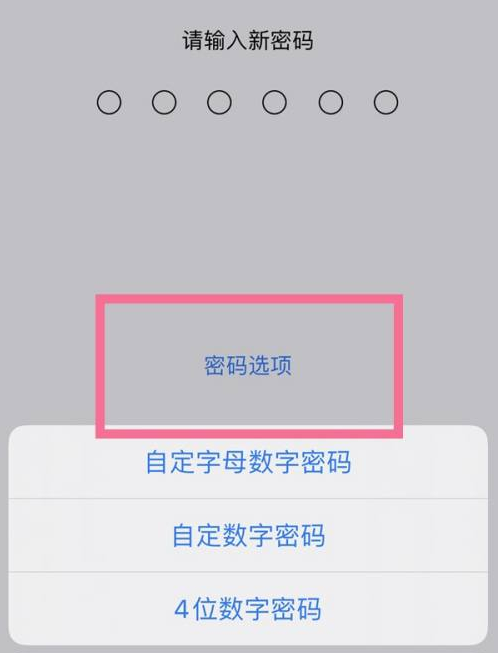 无为苹果14维修分享iPhone 14plus设置密码的方法 