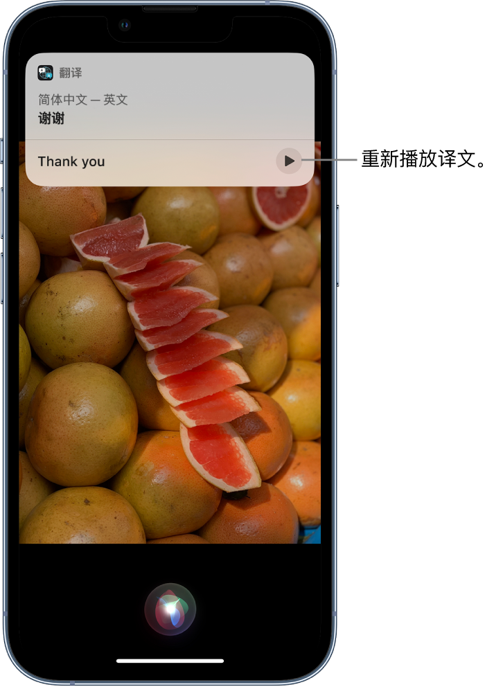 无为苹果14维修分享 iPhone 14 机型中使用 Siri：了解 Siri 能帮你做什么 