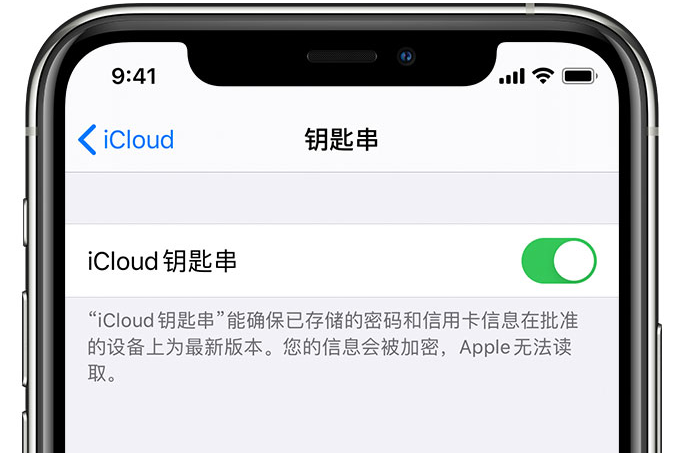 无为苹果手机维修分享在 iPhone 上开启 iCloud 钥匙串之后会储存哪些信息 