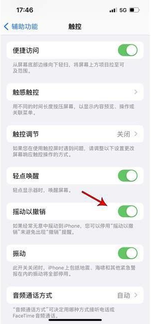 无为苹果手机维修分享iPhone手机如何设置摇一摇删除文字 